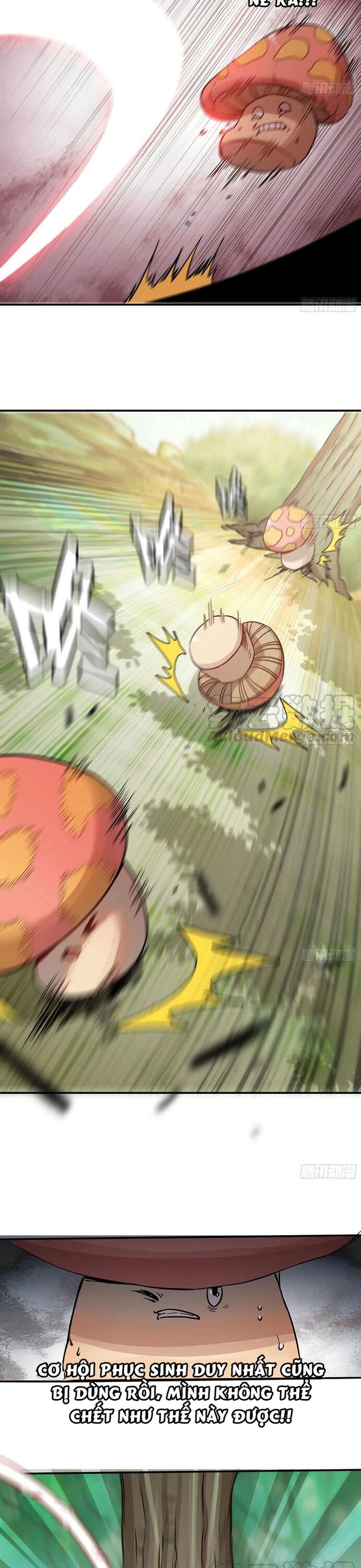 Dũng Sĩ Nấm Chapter 7 - Trang 6
