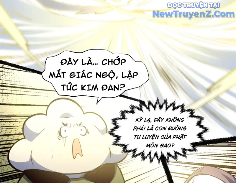 Đỉnh Cấp Khí Vận, Lặng Lẽ Tu Luyện Ngàn Năm chapter 214 - Trang 124