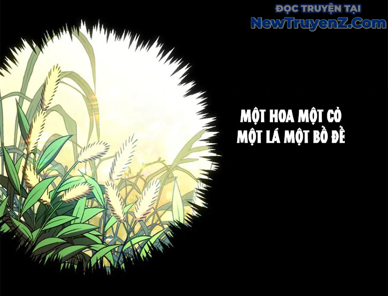 Đỉnh Cấp Khí Vận, Lặng Lẽ Tu Luyện Ngàn Năm chapter 214 - Trang 81