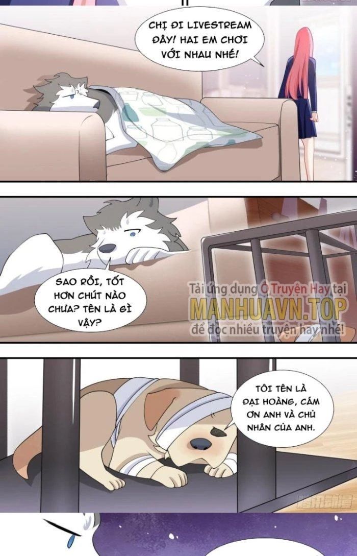 Trọng Sinh Thành Chó Của Nữ Thần Chapter 126 - Trang 11