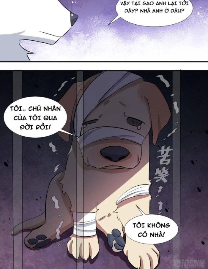 Trọng Sinh Thành Chó Của Nữ Thần Chapter 126 - Trang 12
