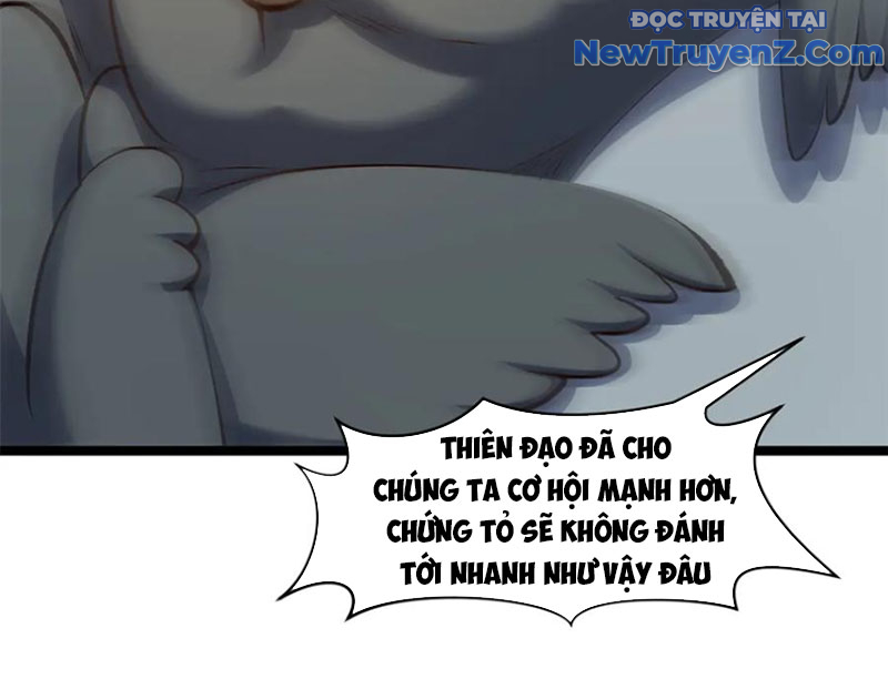 Đỉnh Cấp Khí Vận, Lặng Lẽ Tu Luyện Ngàn Năm chapter 214 - Trang 22