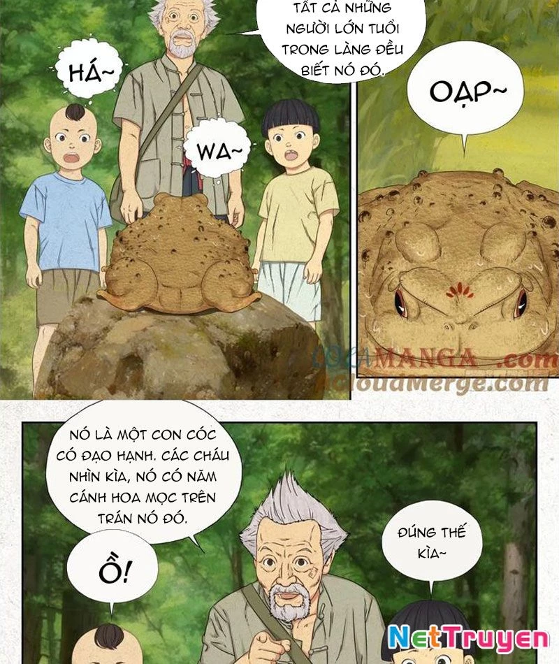 Người Đi Đêm Chapter 60 - Trang 10