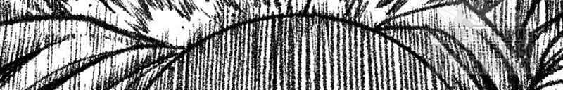 Hắc Sa chapter 11 - Trang 38