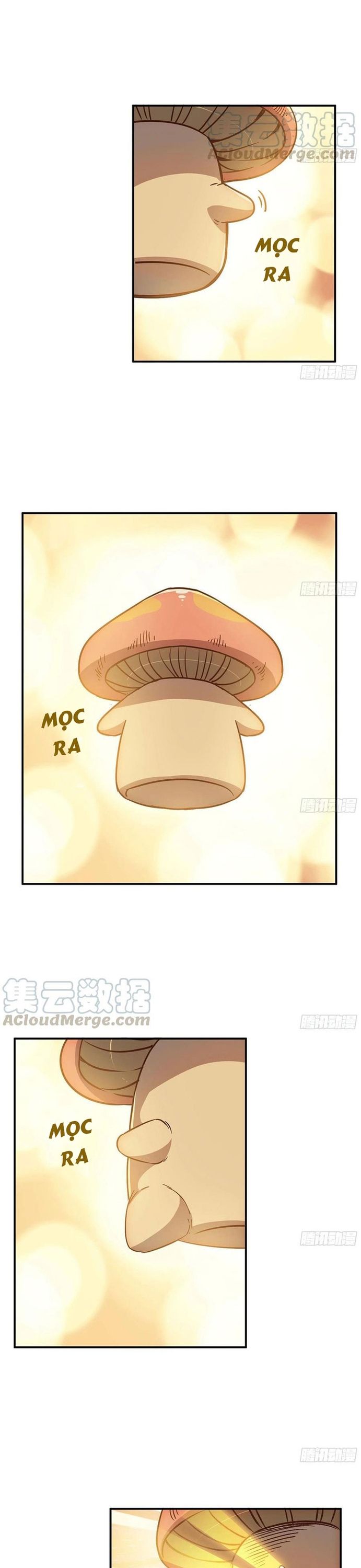 Dũng Sĩ Nấm Chapter 10 - Trang 12