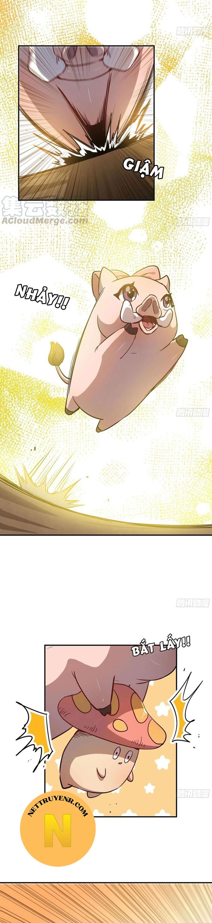 Dũng Sĩ Nấm Chapter 10 - Trang 16