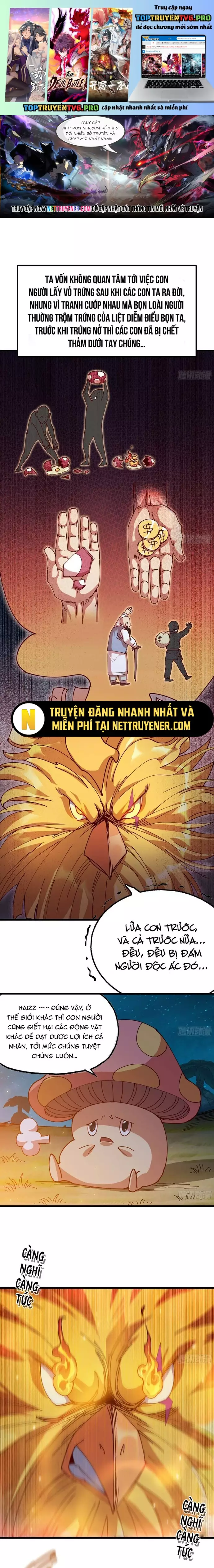 Dũng Sĩ Nấm Chapter 24 - Trang 0