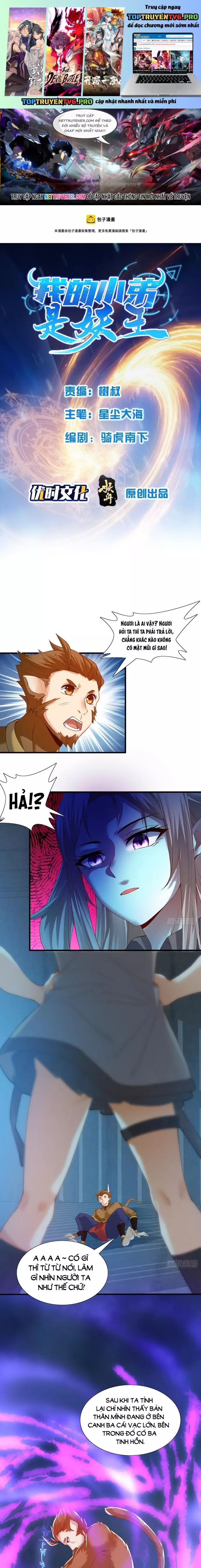 Tiểu Đệ Của Ta Là Yêu Vương Chapter 50 - Trang 0