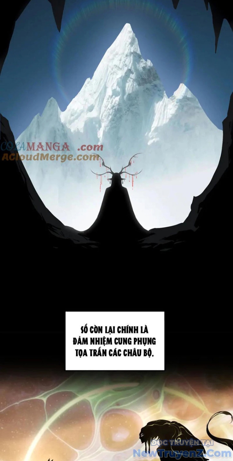 Đại Lộ Vô Danh chapter 83 - Trang 29