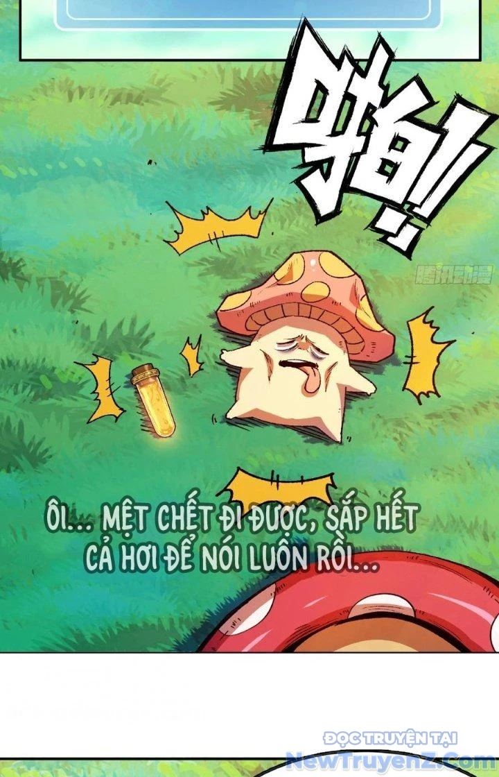 Dũng Sĩ Nấm chapter 84 - Trang 13