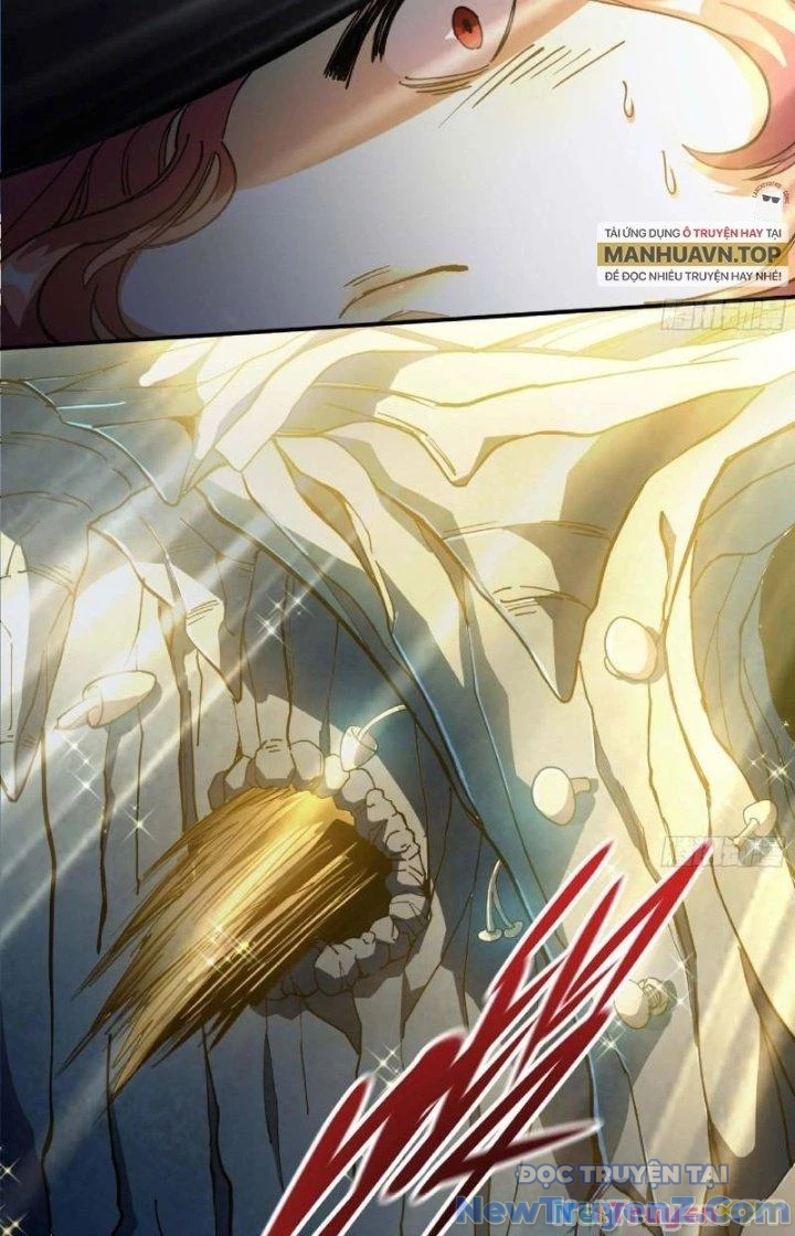 Dũng Sĩ Nấm chapter 63 - Trang 3