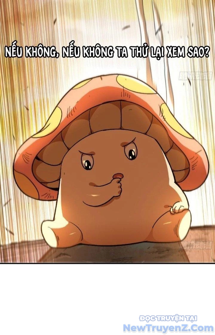 Dũng Sĩ Nấm chapter 74 - Trang 14