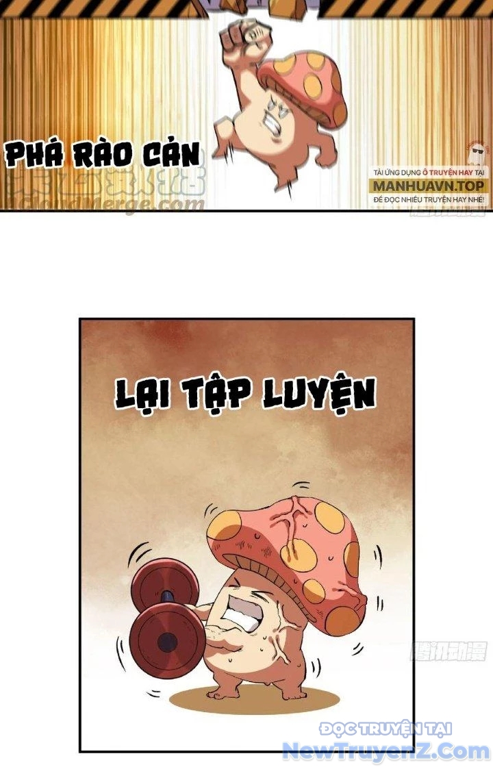 Dũng Sĩ Nấm chapter 85 - Trang 14