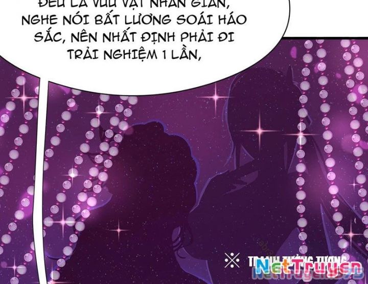 Trụ Vương Tái Sinh Không Muốn Làm Đại Phản Diện Chapter 109 - Trang 74