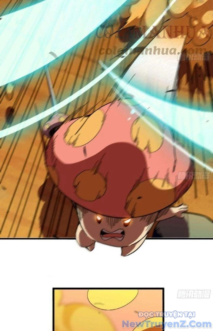 Dũng Sĩ Nấm chapter 89 - Trang 12