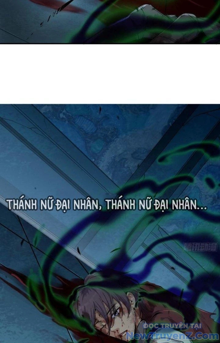 Dũng Sĩ Nấm chapter 71 - Trang 5