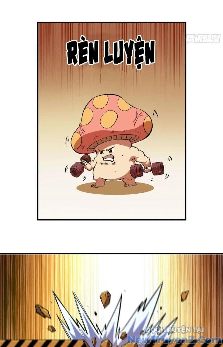 Dũng Sĩ Nấm chapter 85 - Trang 13
