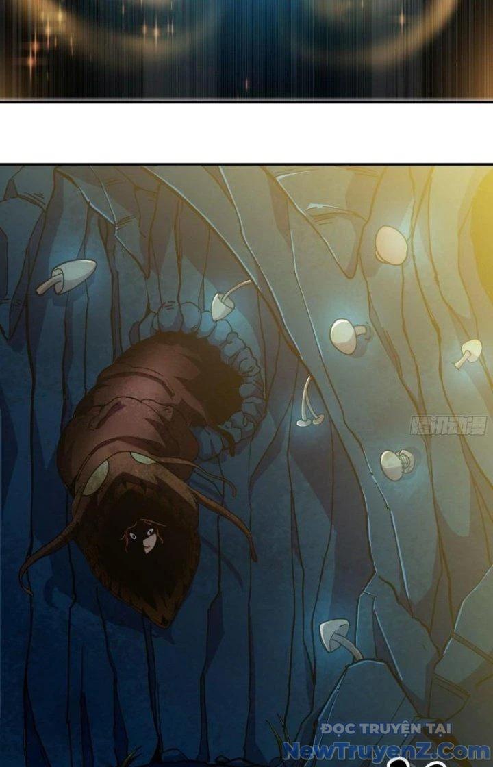 Dũng Sĩ Nấm chapter 62 - Trang 64