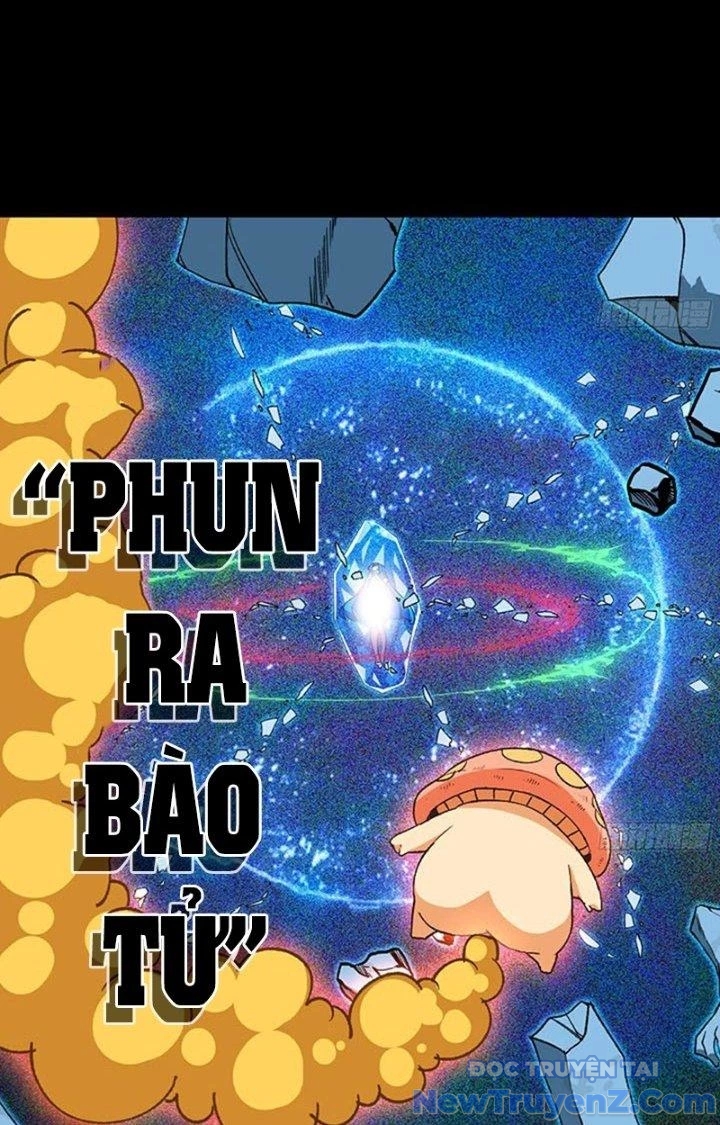Dũng Sĩ Nấm chapter 110 - Trang 13
