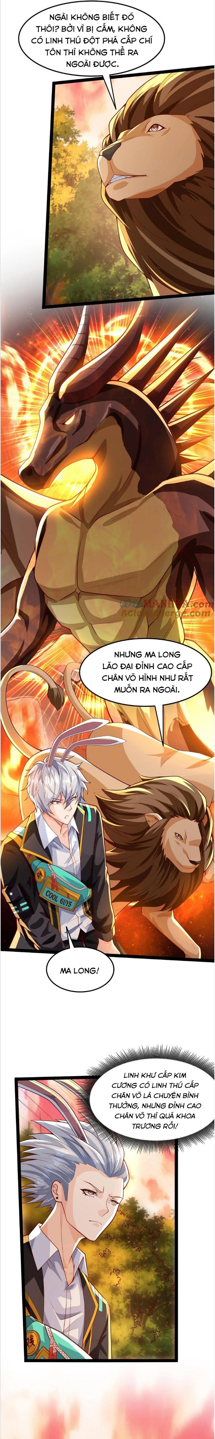 Linh Khí Khôi Phục: Ta Mỗi Ngày Thu Được Một Cái Kỹ Năng Mới Chapter 275 - Trang 5
