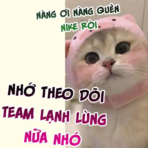 Em Có Nghe Thấy Tôi Nói Không Chapter 58 - Trang 4