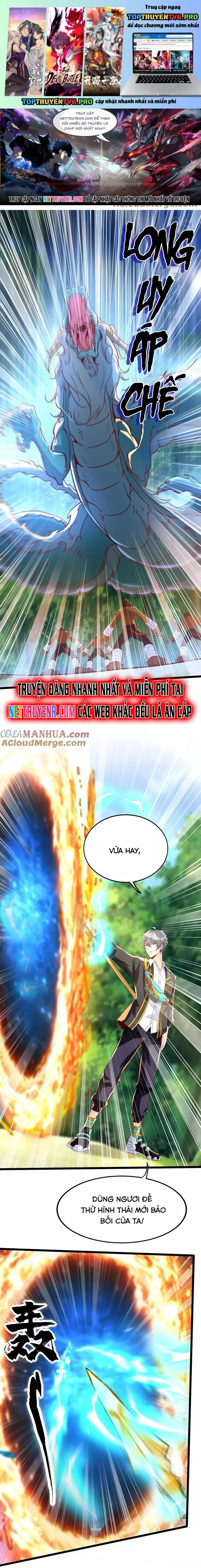 Linh Khí Khôi Phục: Ta Mỗi Ngày Thu Được Một Cái Kỹ Năng Mới Chapter 280 - Trang 0