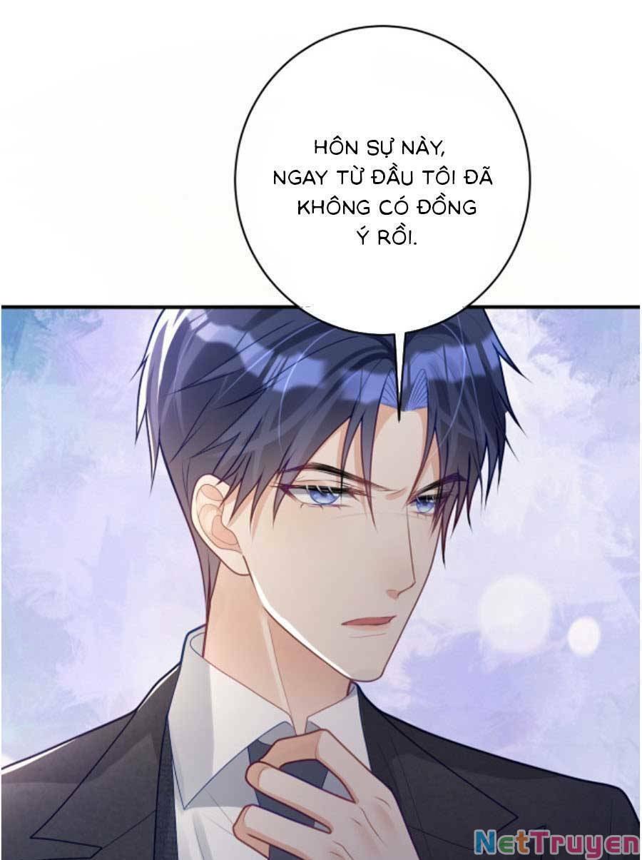 Bảo Bối Trời Cho: Hoắc Gia Xin Ký Nhận Chapter 19 - Trang 14