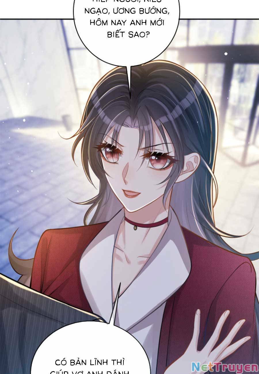 Bảo Bối Trời Cho: Hoắc Gia Xin Ký Nhận Chapter 5 - Trang 24
