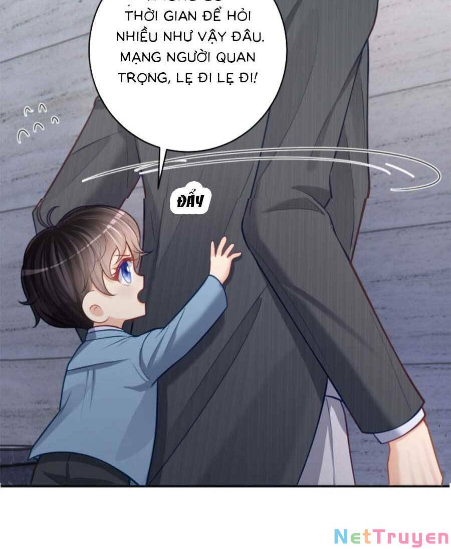 Bảo Bối Trời Cho: Hoắc Gia Xin Ký Nhận Chapter 8 - Trang 15