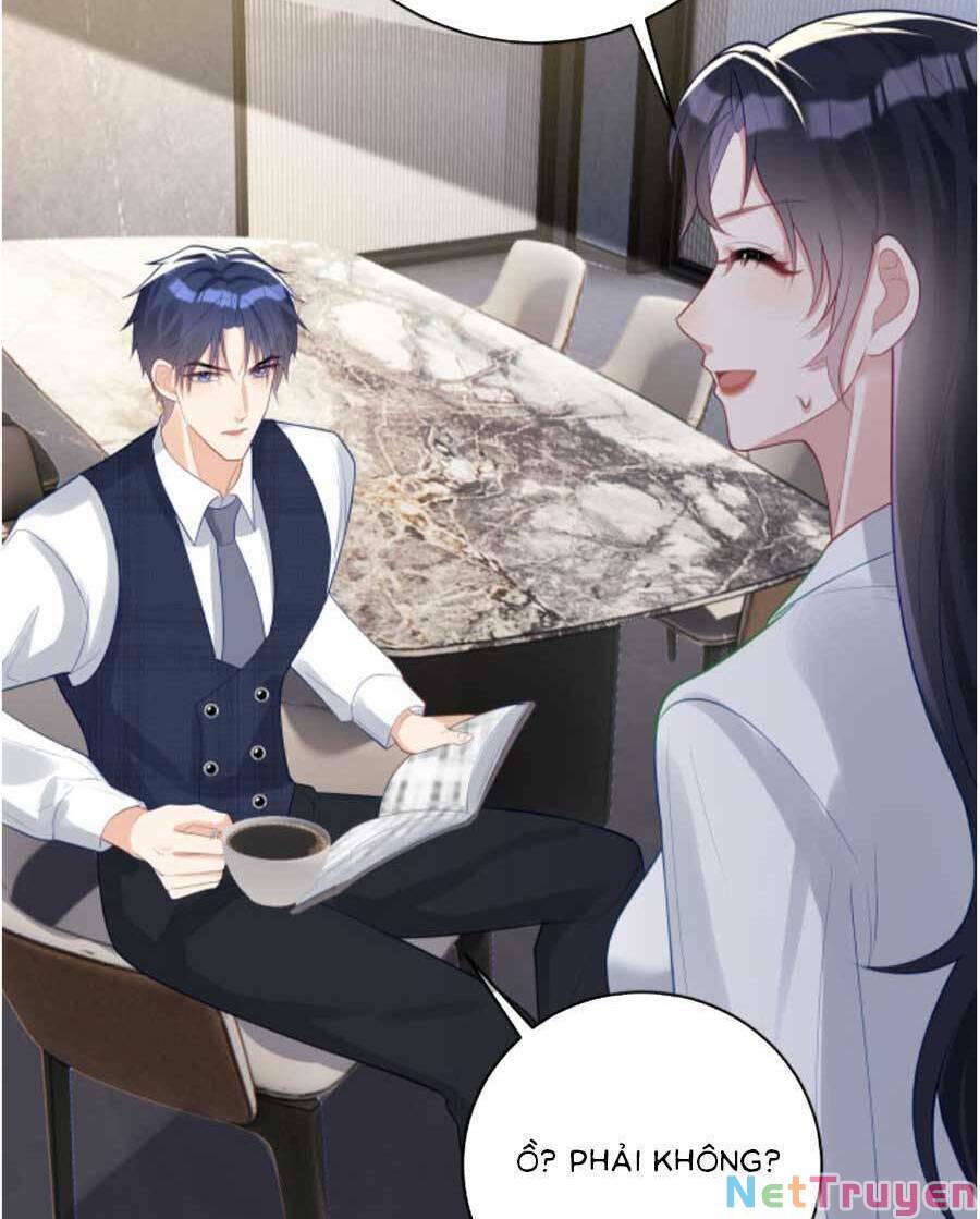 Bảo Bối Trời Cho: Hoắc Gia Xin Ký Nhận Chapter 20 - Trang 12