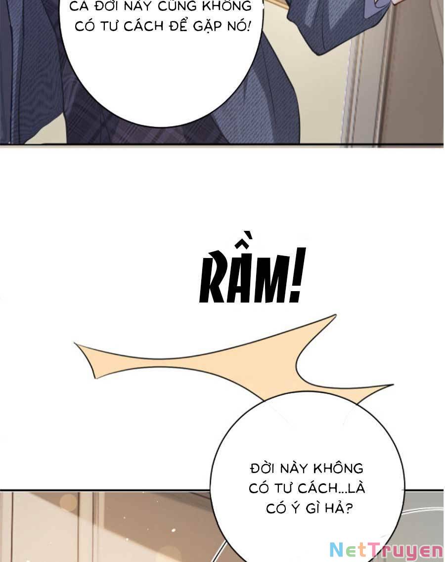 Bảo Bối Trời Cho: Hoắc Gia Xin Ký Nhận Chapter 4 - Trang 9
