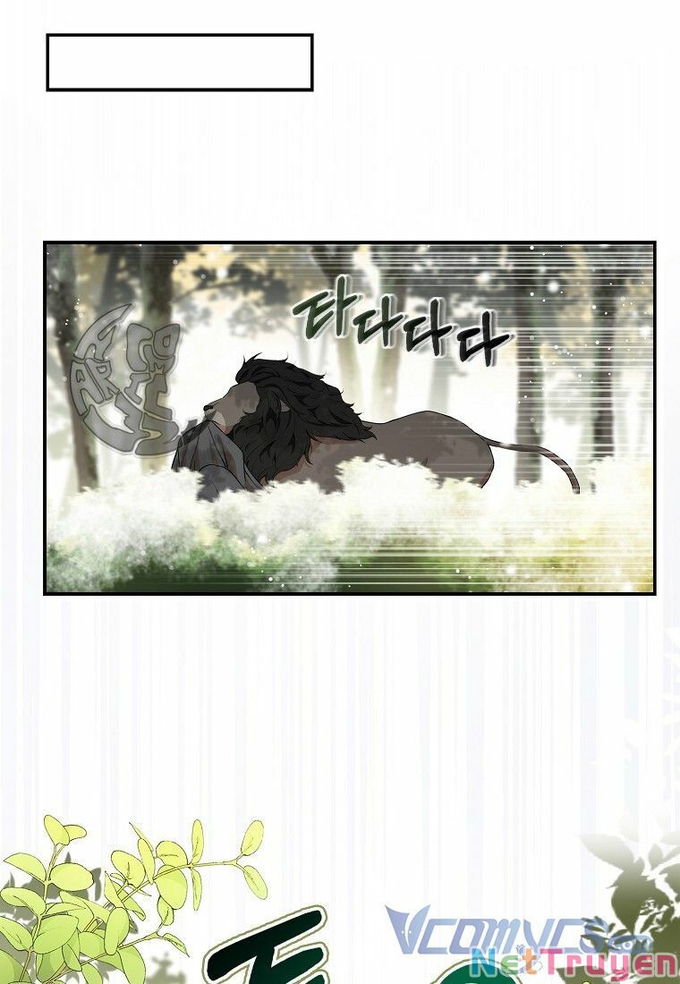 Sóc Nhỏ Tài Năng Chapter 8 - Trang 19