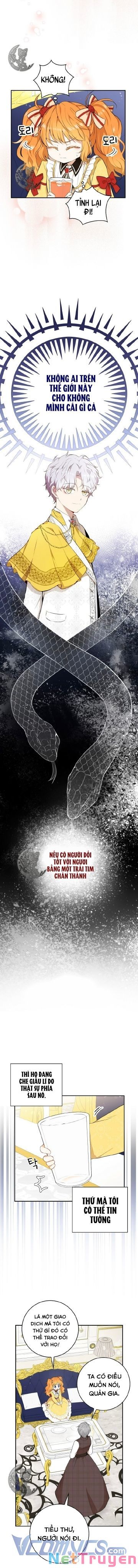Sóc Nhỏ Tài Năng Chapter 3 - Trang 17
