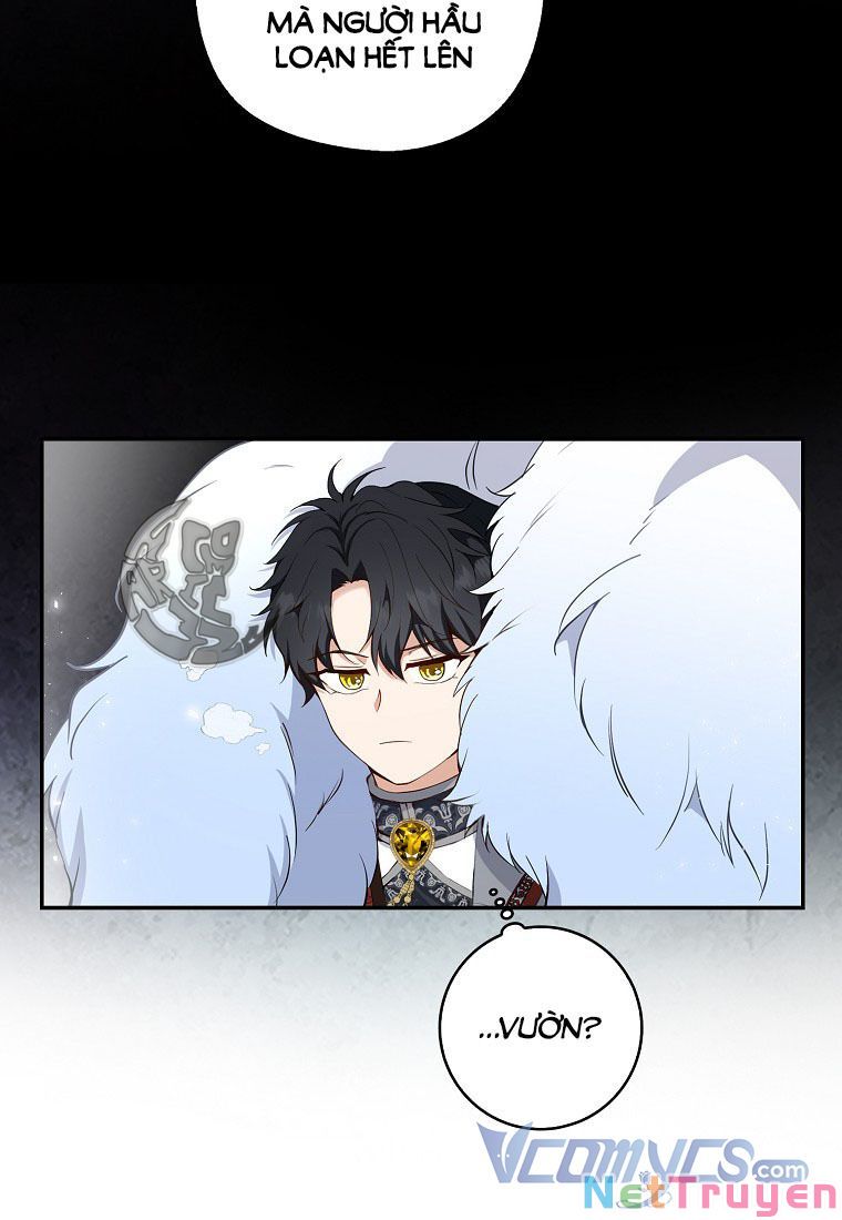 Sóc Nhỏ Tài Năng Chapter 13 - Trang 27