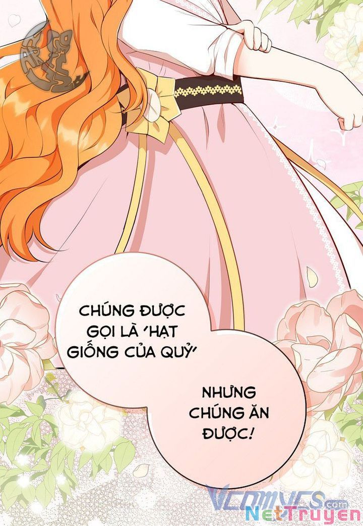 Sóc Nhỏ Tài Năng Chapter 16 - Trang 16