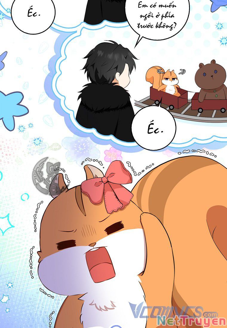 Sóc Nhỏ Tài Năng Chapter 11 - Trang 40