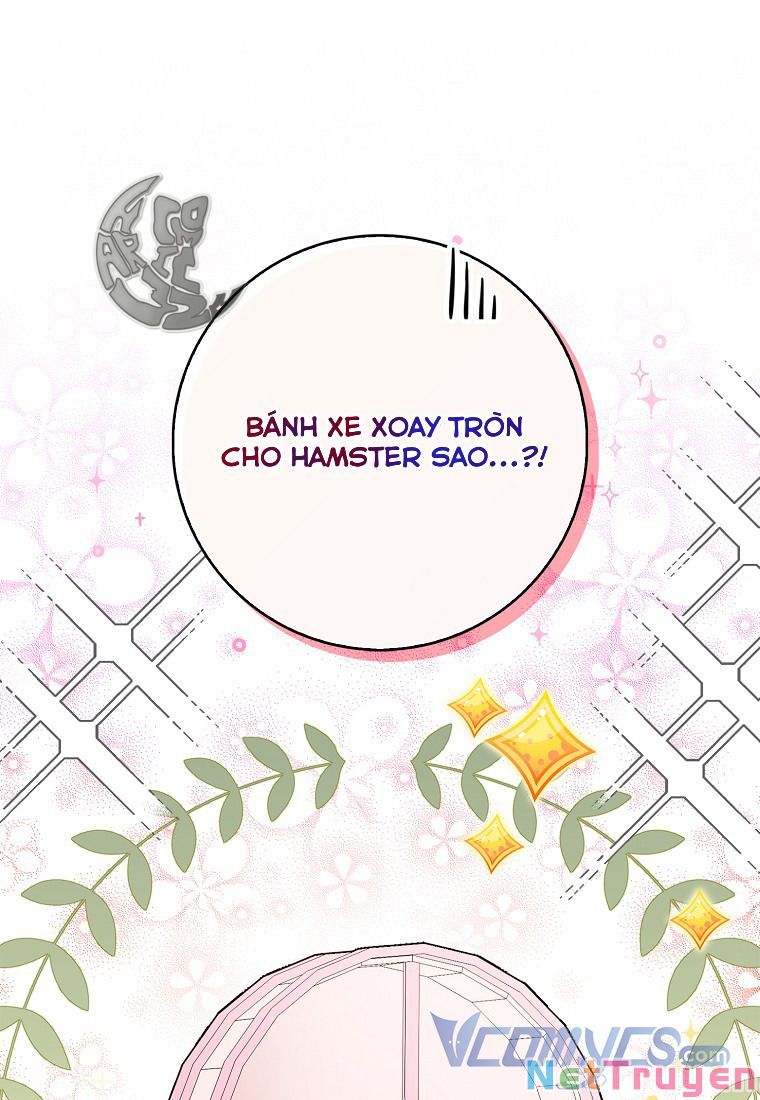 Sóc Nhỏ Tài Năng Chapter 11 - Trang 15
