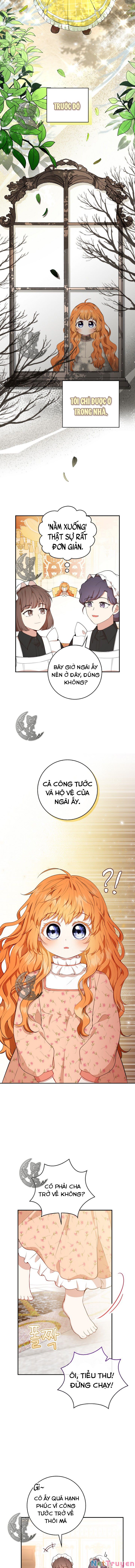 Sóc Nhỏ Tài Năng Chapter 17 - Trang 5