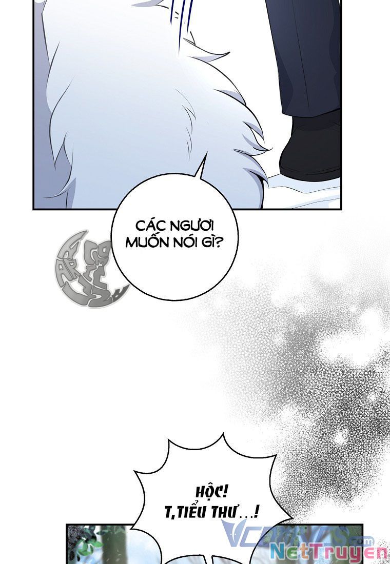 Sóc Nhỏ Tài Năng Chapter 13 - Trang 31
