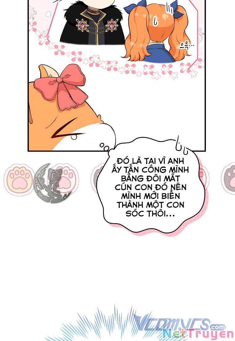 Sóc Nhỏ Tài Năng Chapter 11 - Trang 38