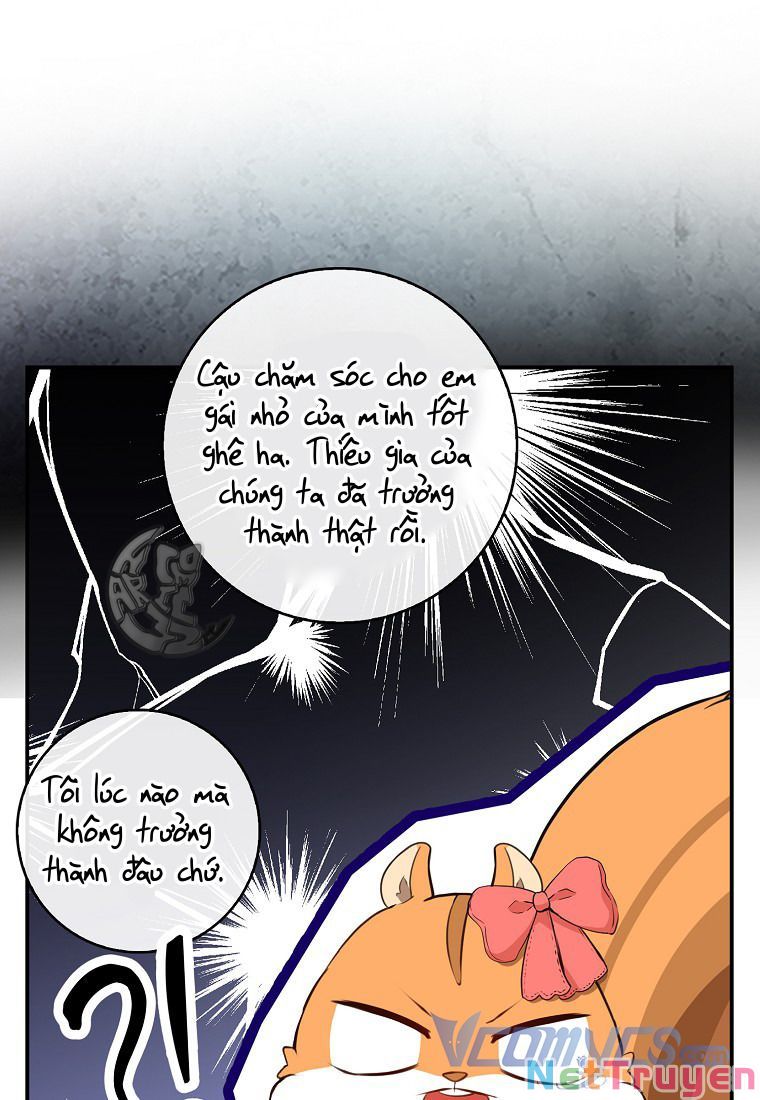 Sóc Nhỏ Tài Năng Chapter 11 - Trang 36
