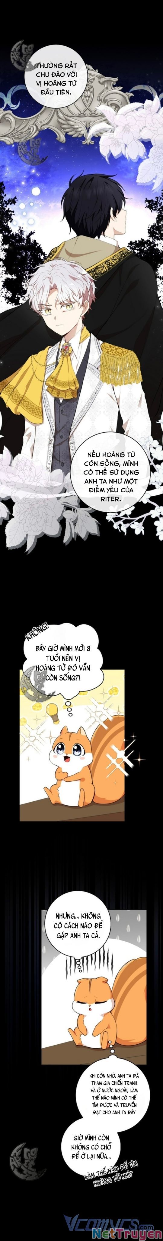 Sóc Nhỏ Tài Năng Chapter 3 - Trang 6