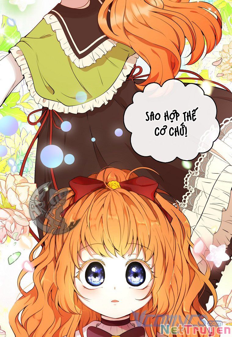 Sóc Nhỏ Tài Năng Chapter 12 - Trang 14
