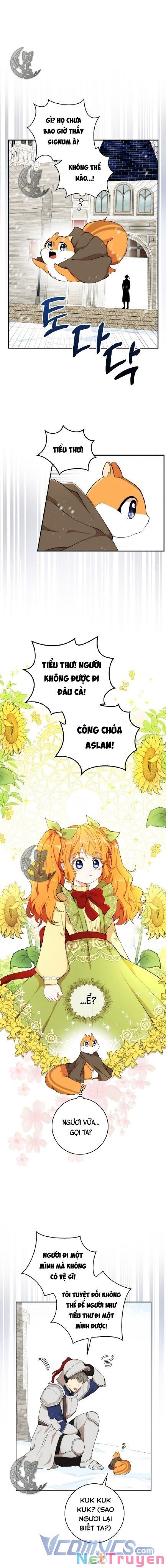 Sóc Nhỏ Tài Năng Chapter 3 - Trang 13