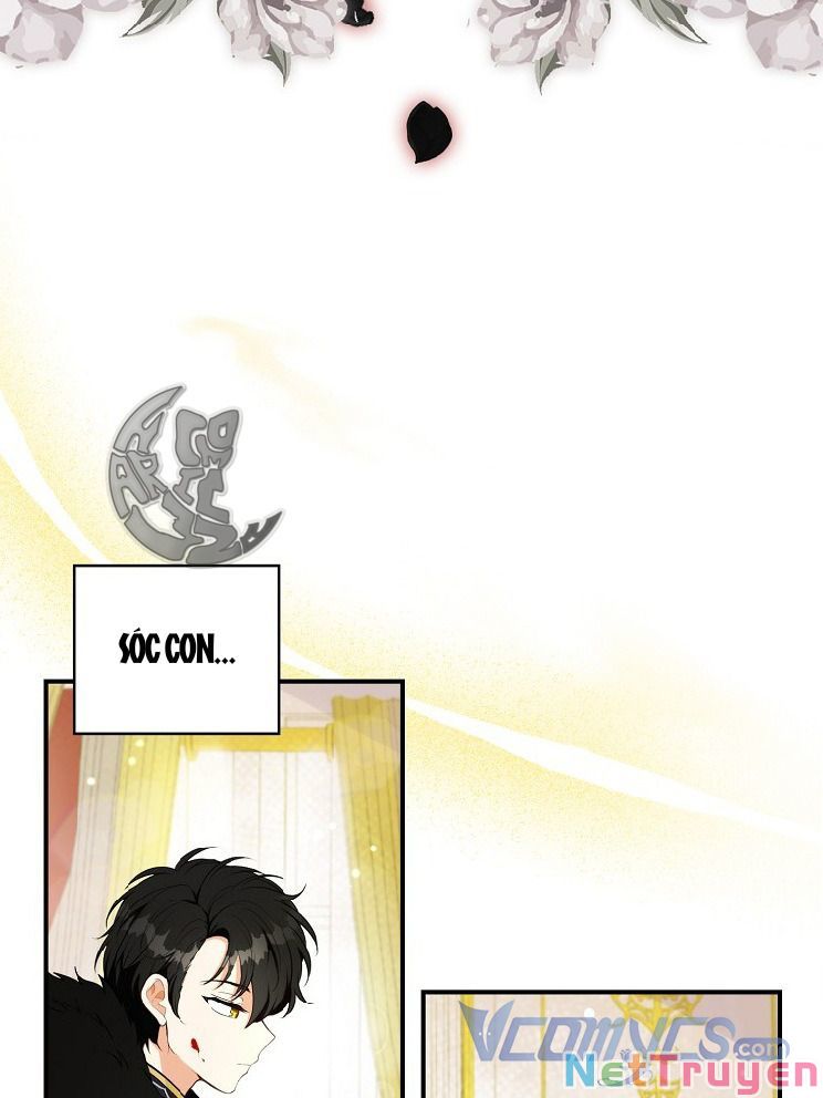 Sóc Nhỏ Tài Năng Chapter 4 - Trang 4