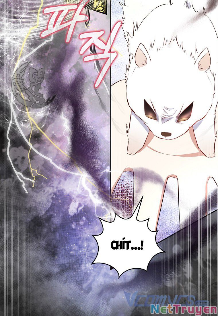 Sóc Nhỏ Tài Năng Chapter 14 - Trang 35
