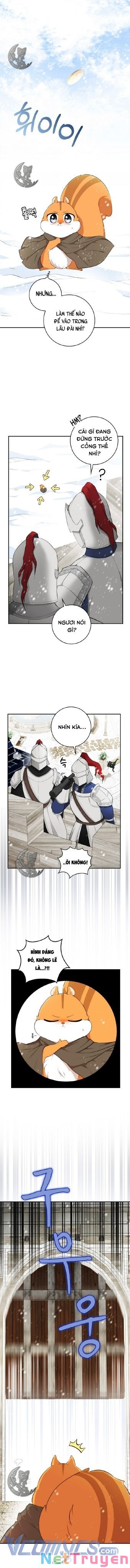 Sóc Nhỏ Tài Năng Chapter 3 - Trang 12