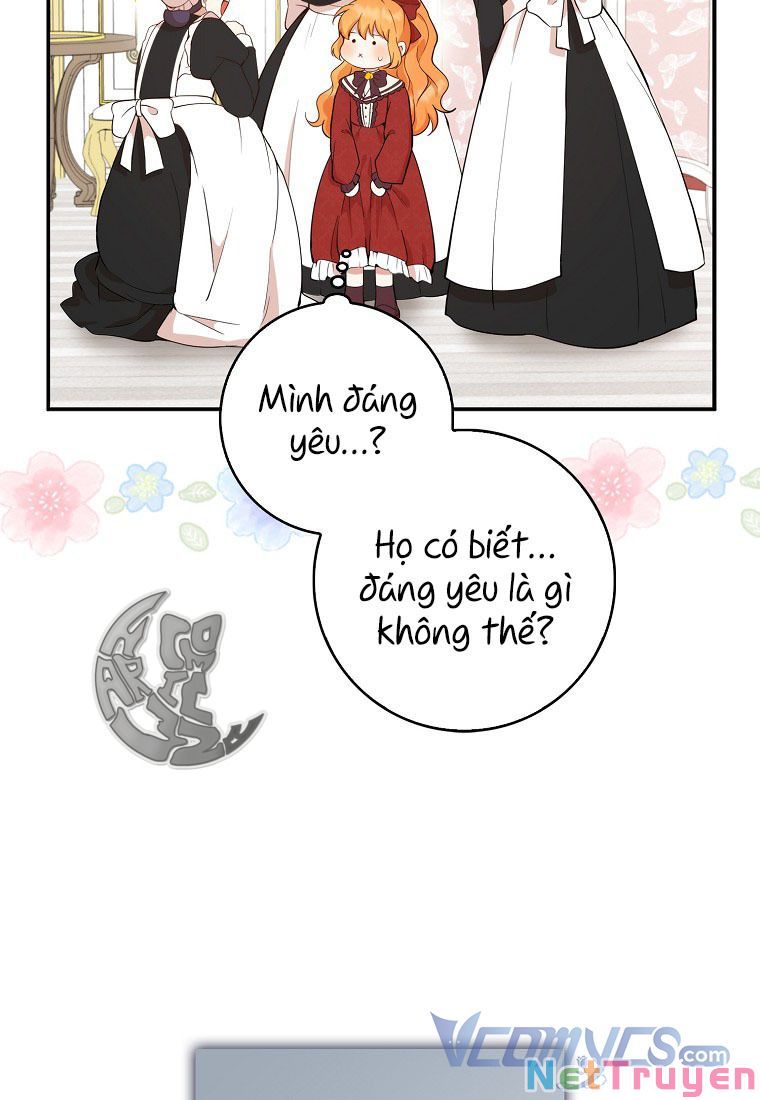 Sóc Nhỏ Tài Năng Chapter 12 - Trang 17