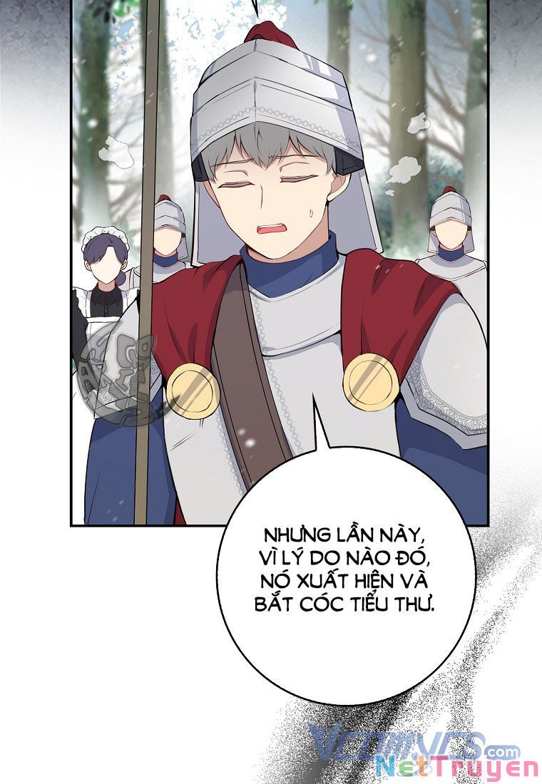 Sóc Nhỏ Tài Năng Chapter 13 - Trang 35