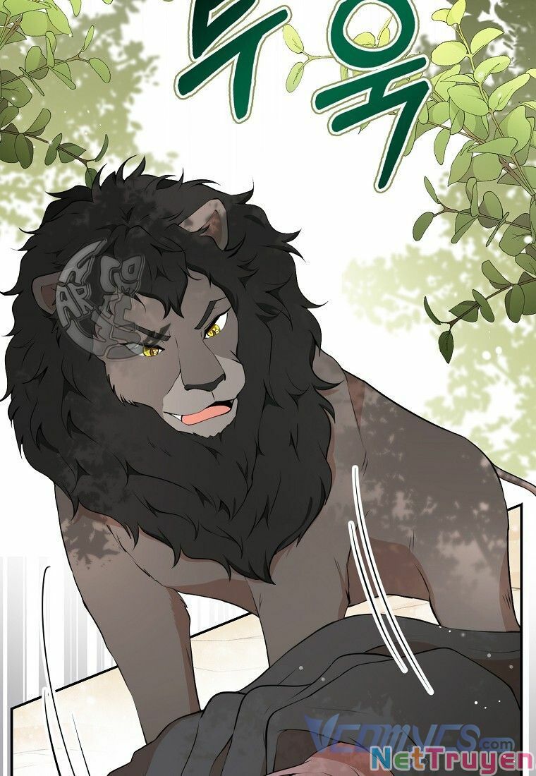 Sóc Nhỏ Tài Năng Chapter 8 - Trang 20